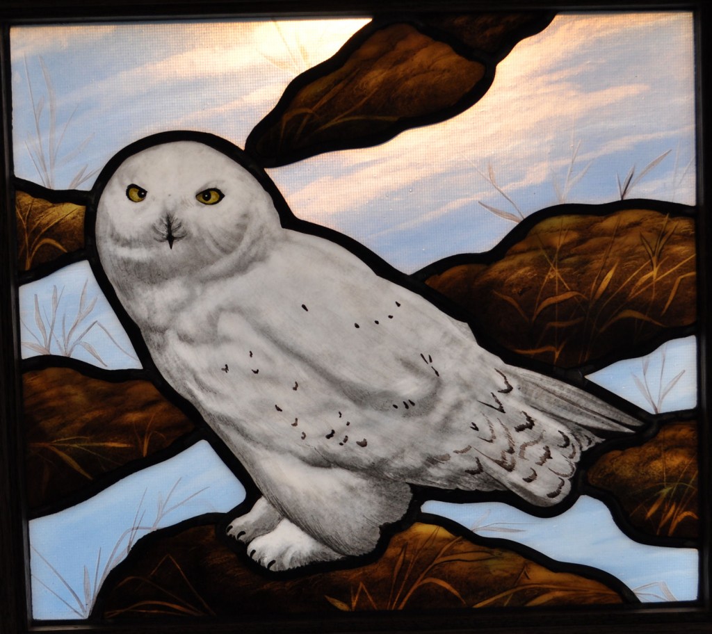 Hand Painted Stained Glass Snow Owl