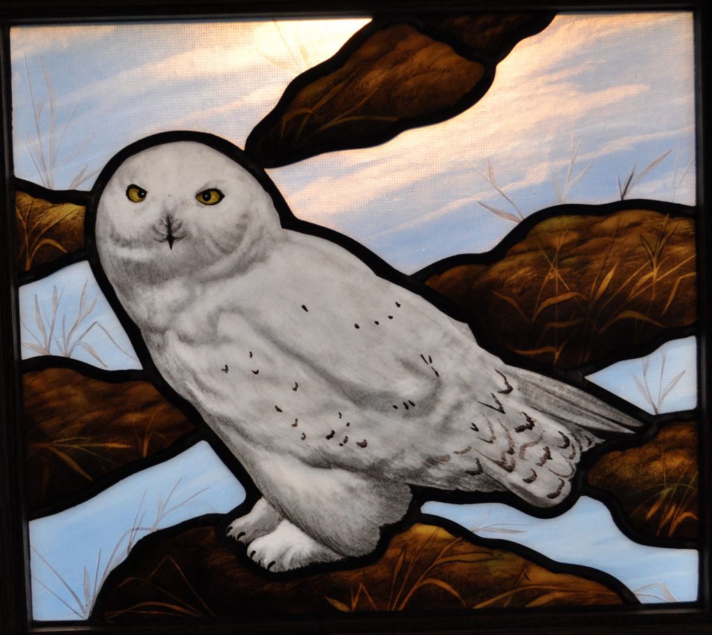 Stained Glass transom window featuring a Snow Owl
